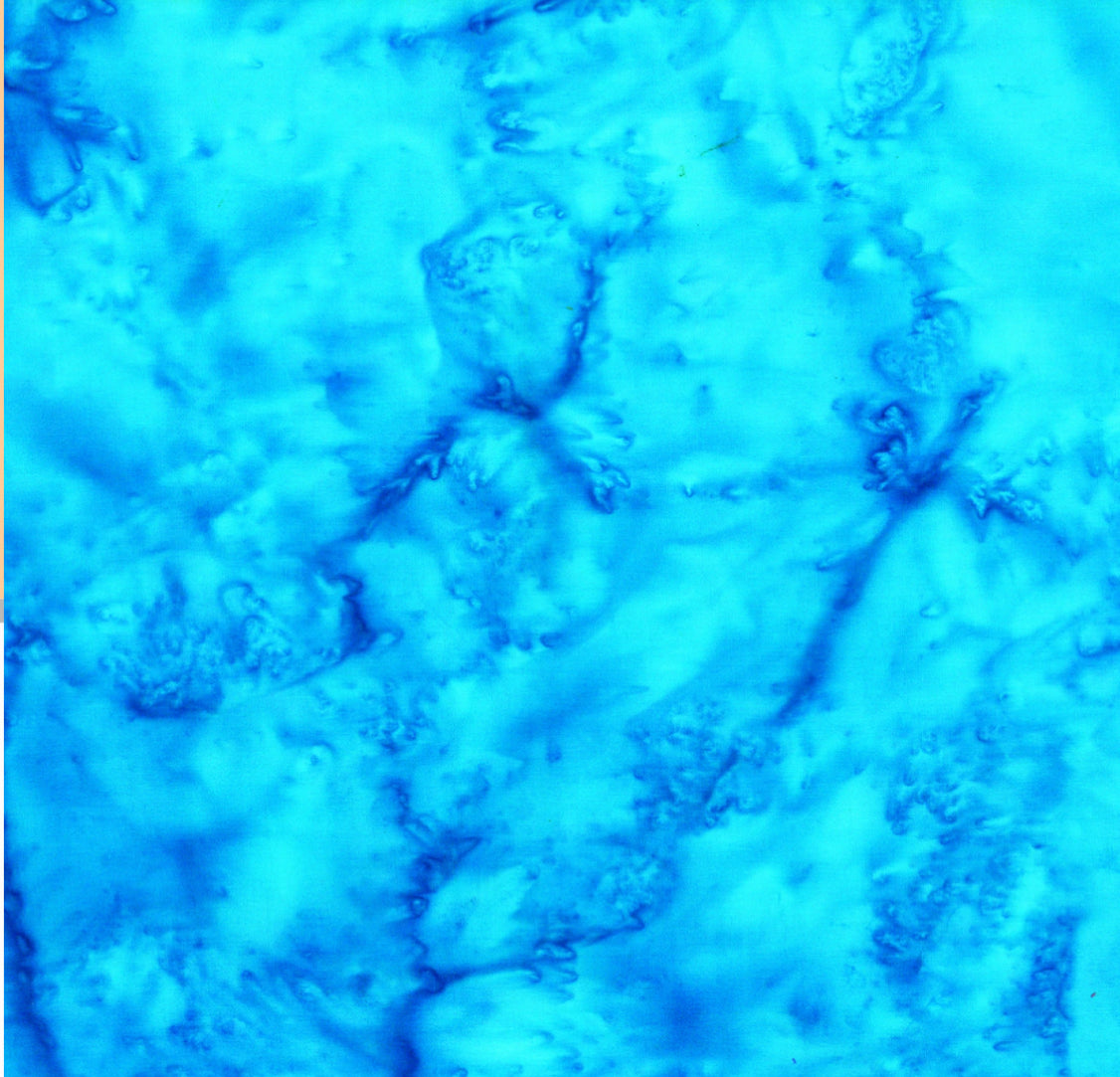 Bali Batik, Marigold by Hoffman Fabrics