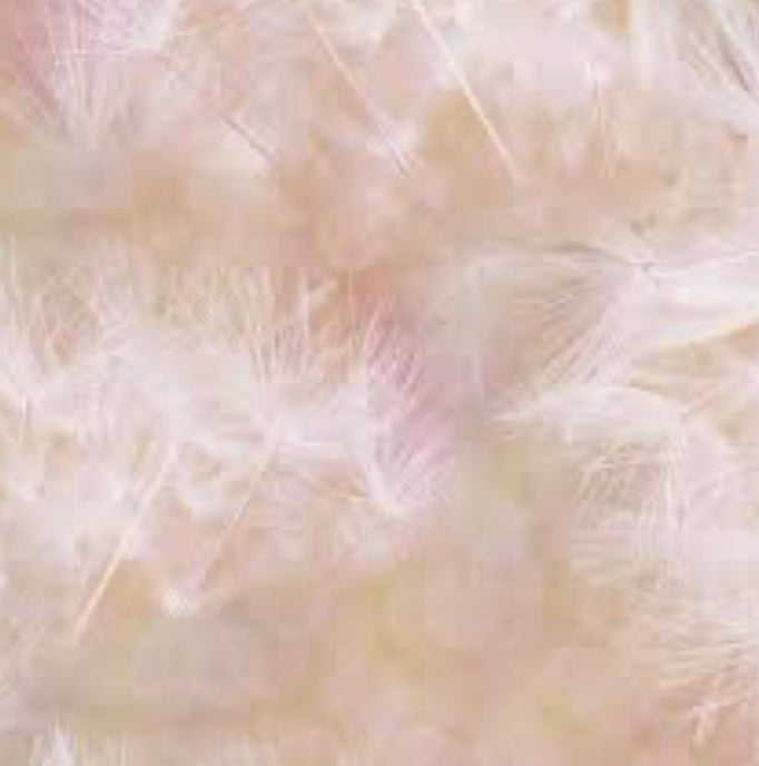 Farmhouse Blooms Digital Cotton Fabric Print by Hoffman -Peach