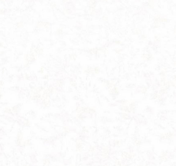 Fairy Frost by Michael Miller