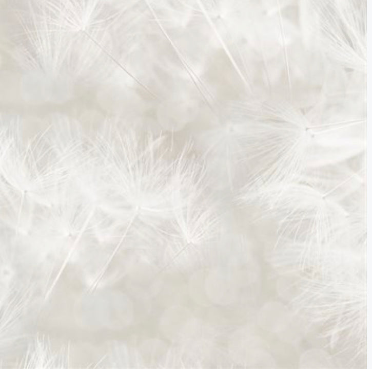 Farmhouse Blooms Digital Cotton Fabric Print by Hoffman -Neutral