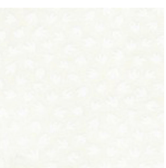 White On White Tulip by Basic Palette