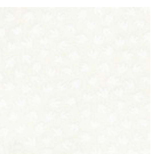 White On White Tulip by Basic Palette