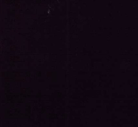 Bella Solids by Moda